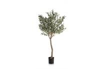 Coco Maison COCO MAISON accessoire Olive Tree H180cm kunstplant